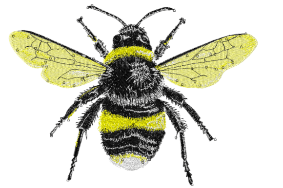 Fuzzy Bumblebee: A Designer Review for Business Merch