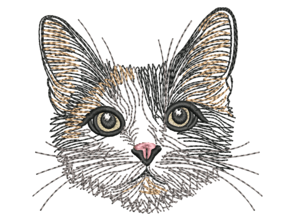 Sketch Style Calico Cat Face: A Designer Review